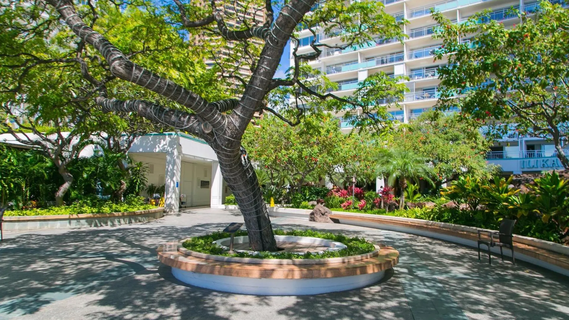 דירות הונולולו Ilikai Tower 633 Yacht Harbor View 1Br ארצות הברית